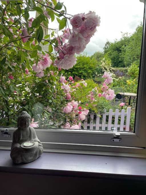 Lilac Cottage Morpeth Northumberland Zewnętrze zdjęcie